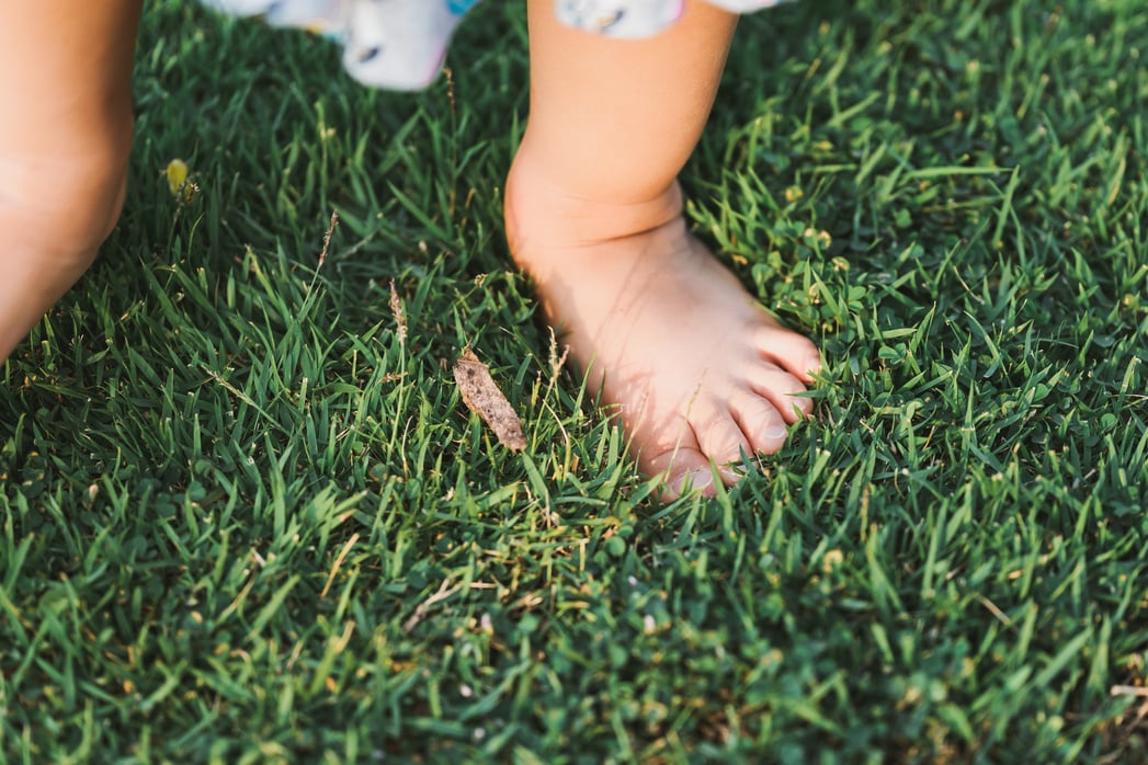 Feet Baby Child Standing on Green Grass. Girl Learn Her Senses with Nature. Kid and Sensory Concept.